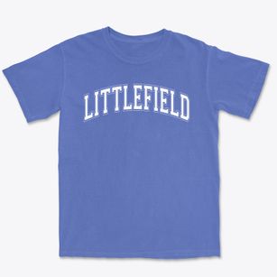 Littlefield Primary School Varsity Arch Premium Heavyweight T-shirt