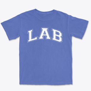 Lab School Varsity Arch Premium Heavyweight T-shirt
