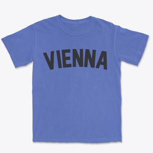 Vienna Virginia Classic Curve Premium Heavyweight T-shirt