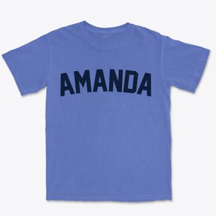 Amanda Ohio Classic Curve Premium Heavyweight T-shirt