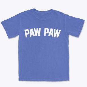 Paw Paw Illinois Classic Curve Premium Heavyweight T-shirt