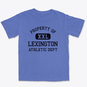 Lexington South Carolina Athletic Dept Premium Heavyweight T-shirt