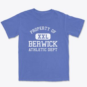 Berwick Louisiana Athletic Dept Premium Heavyweight T-shirt