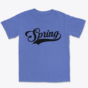 Spring Texas Vintage Team Premium Heavyweight T-shirt