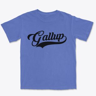 Gallup New Mexico Vintage Team Premium Heavyweight T-shirt