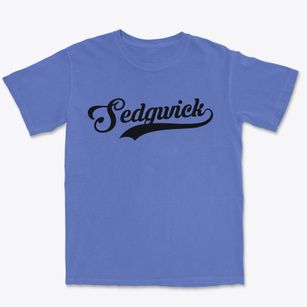 Sedgwick Arkansas Vintage Team Premium Heavyweight T-shirt