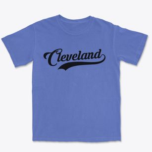 Cleveland Ohio Vintage Team Premium Heavyweight T-shirt