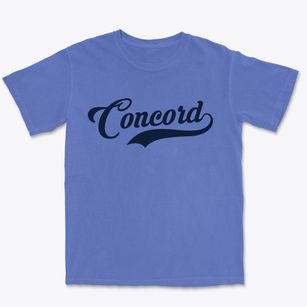 Concord Virginia Vintage Team Premium Heavyweight T-shirt