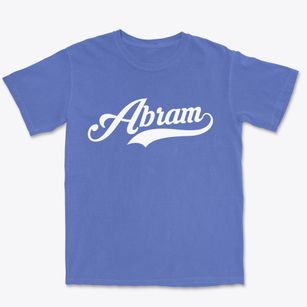 Abram Texas Vintage Team Premium Heavyweight T-shirt