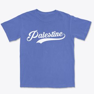 Palestine Illinois Vintage Team Premium Heavyweight T-shirt