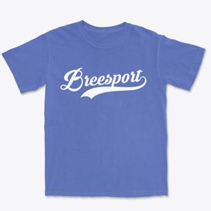 Breesport New York Vintage Team Premium Heavyweight T-shirt