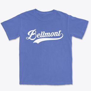 Bellmont Illinois Vintage Team Premium Heavyweight T-shirt