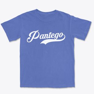Pantego North Carolina Vintage Team Premium Heavyweight T-shirt