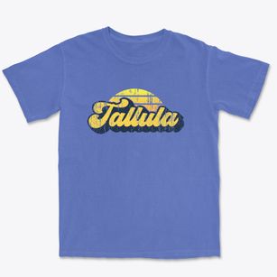 Tallula Illinois Sublime Sunset Premium Heavyweight T-shirt