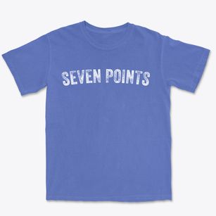 Seven Points Texas Timeless Retro Premium Heavyweight T-shirt