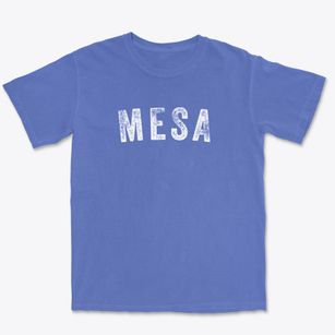 Mesa Arizona Timeless Retro Premium Heavyweight T-shirt