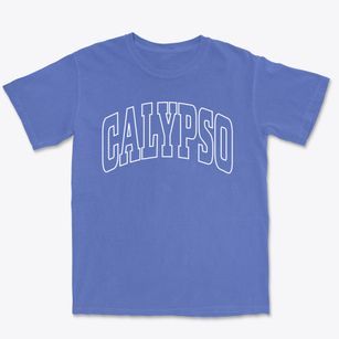 Calypso North Carolina Trendy Block Premium Heavyweight T-shirt