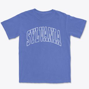 Sylvania Pennsylvania Trendy Block Premium Heavyweight T-shirt