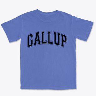 Gallup New Mexico Varsity Premium Heavyweight T-shirt