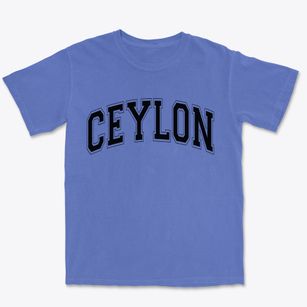 Ceylon Minnesota Varsity Premium Heavyweight T-shirt