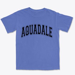 Aquadale North Carolina Varsity Premium Heavyweight T-shirt
