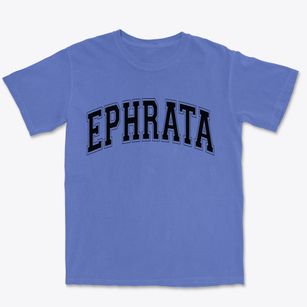 Ephrata Pennsylvania Varsity Premium Heavyweight T-shirt