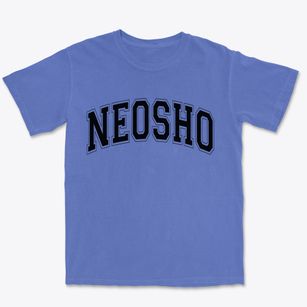 Neosho Missouri Varsity Premium Heavyweight T-shirt