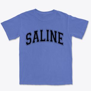 Saline Michigan Varsity Premium Heavyweight T-shirt