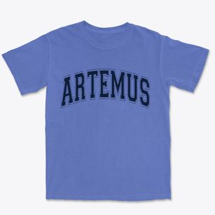 Artemus Kentucky Varsity Premium Heavyweight T-shirt