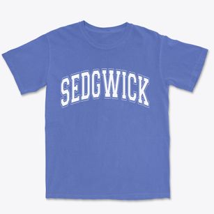 Sedgwick Arkansas Varsity Premium Heavyweight T-shirt