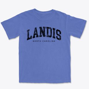 Landis North Carolina Urban Vibe Premium Heavyweight T-shirt