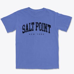 Salt Point New York Urban Vibe Premium Heavyweight T-shirt
