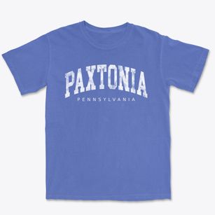 Paxtonia Pennsylvania Urban Vibe Premium Heavyweight T-shirt