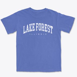 Lake Forest Illinois Urban Vibe Premium Heavyweight T-shirt