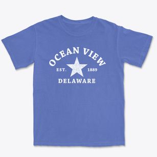 Ocean View Delaware Star Premium Heavyweight T-shirt
