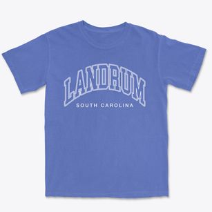 Landrum South Carolina Inline Premium Heavyweight T-shirt