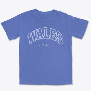 Wales Utah Inline Premium Heavyweight T-shirt