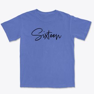Sixteen Iowa Freestyle Premium Heavyweight T-shirt