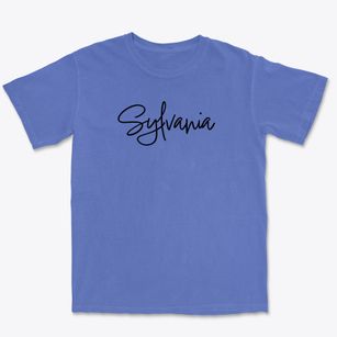 Sylvania Pennsylvania Freestyle Premium Heavyweight T-shirt