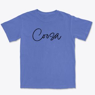 Coosa Georgia Freestyle Premium Heavyweight T-shirt
