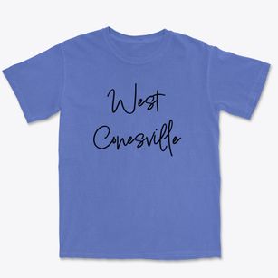 West Conesville New York Freestyle Premium Heavyweight T-shirt