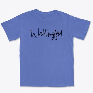 Wallingford Pennsylvania Freestyle Premium Heavyweight T-shirt