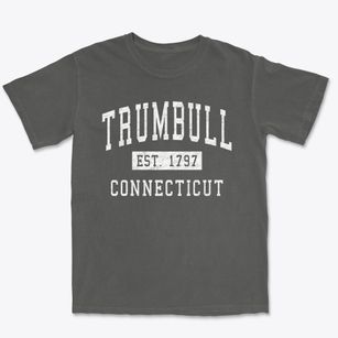 Trumbull Connecticut Classic Established Premium Heavyweight T-shirt