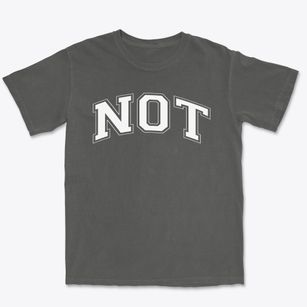Not Your Ordinary School Varsity Arch Premium Heavyweight T-shirt