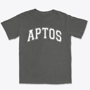 Aptos Middle School Varsity Arch Premium Heavyweight T-shirt