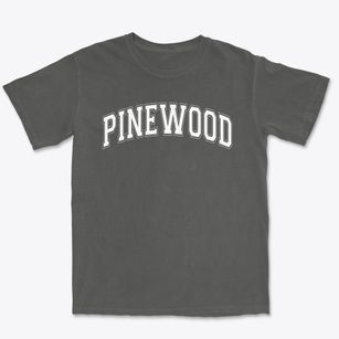 Pinewood Elementary School Varsity Arch Premium Heavyweight T-shirt