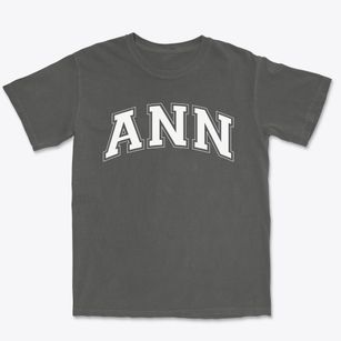Ann Blanche Smith Elementary School Varsity Arch Premium Heavyweight T-shirt