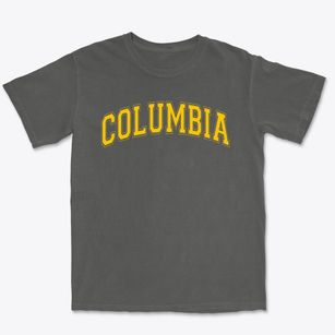 Columbia Elementary School Varsity Arch Premium Heavyweight T-shirt