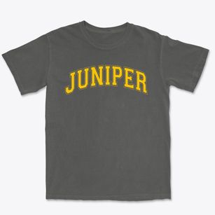 Juniper Elementary School Varsity Arch Premium Heavyweight T-shirt