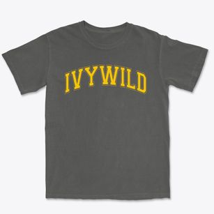 Ivywild Elementary School Varsity Arch Premium Heavyweight T-shirt